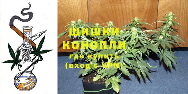 дурь Бердск