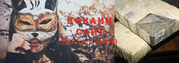 дурь Бердск