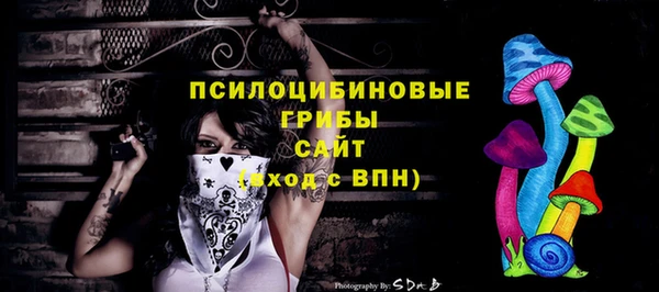 прущие грибы Туринск